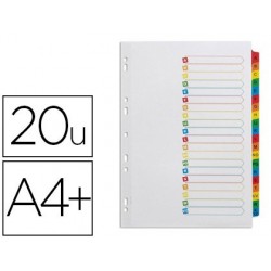 Intercalaire avery mylar 20 positions a4+ 212x310mm...