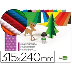 Carton ondulé liderpapel a4+ 24x315cm 160g/m2 coloris...