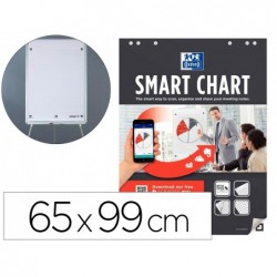Recharge smart chart 65x99 q