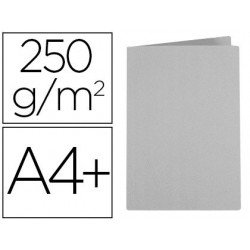 Chemise exacompta super carte 240x320mm 210g coloris gris...
